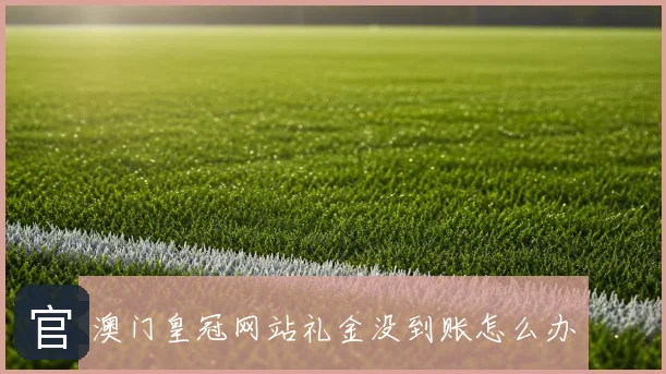 澳门皇冠网站礼金没到账怎么办